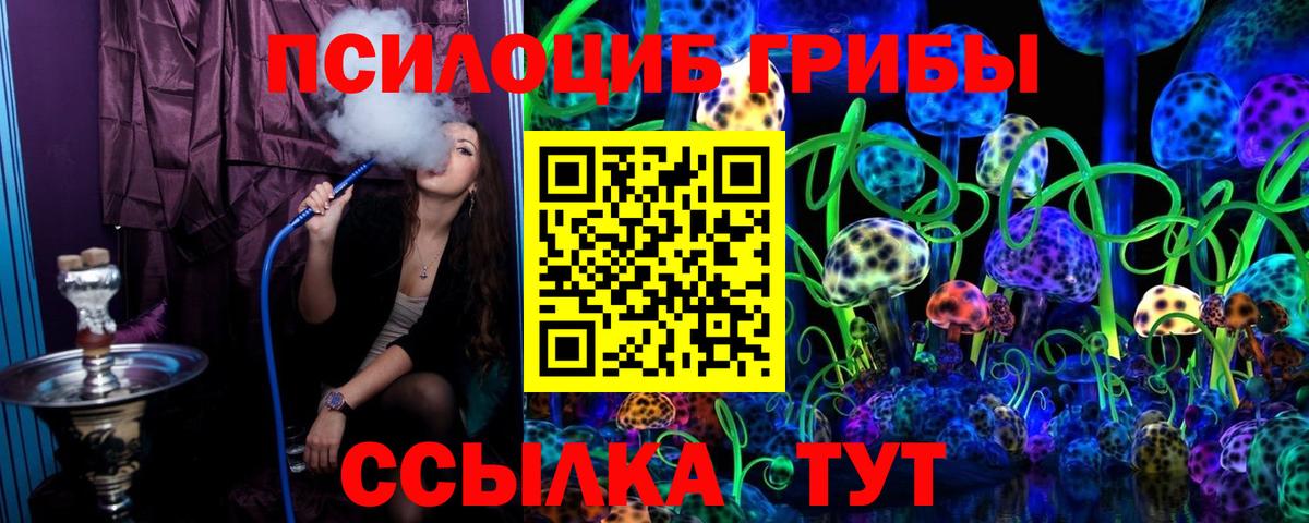 Минеральные Воды  Галлюциногенные грибы Cubensis  Вход с VPN 